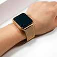 Металический браслет с чехлом для часов Apple Watch 1/2/3/4/5/6/SE (42/44MM), Gold