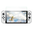 Закаленное стекло ERBORD 9H до Nintendo Switch OLED
