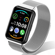 Браслет  MilaneseBand для Huawei Watch Fit 2 - Silver