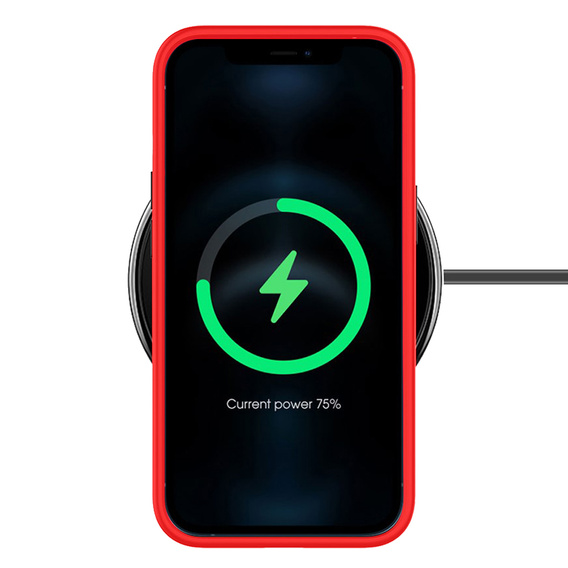 Чoхол до iPhone 13 Pro, ERBORD Hybrid Case, червоний