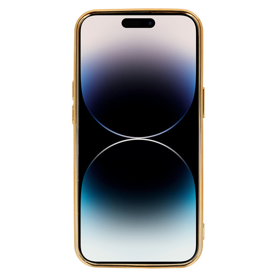 Чехол ERBORD MagSafe до iPhone 12 Pro, Black