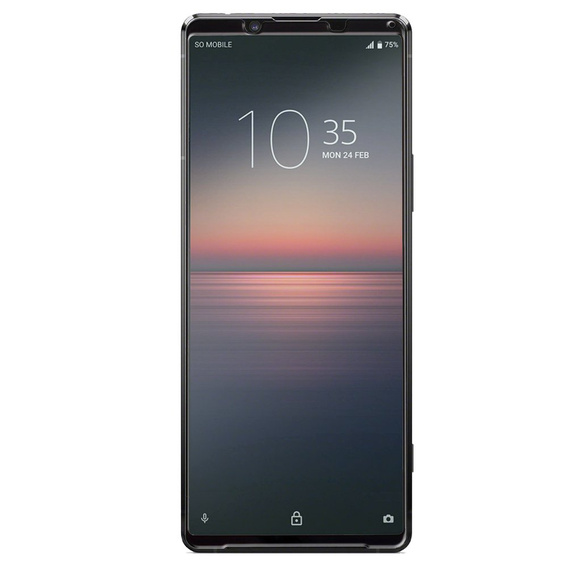 Закаленное стекло 3D ERBORD до Sony Xperia 1 II - Black