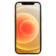Магнітний чохол Dual Glass MagSafe для iPhone 12, золотий